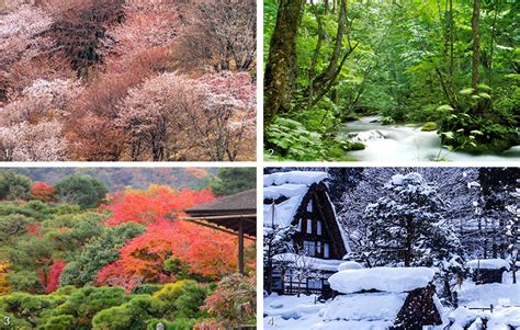 Creating A Society In Harmony With Nature The University Of Tokyo