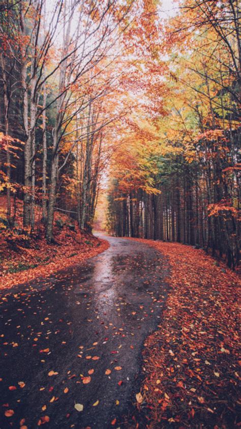 autumn wallpaper | Tumblr | Peyzaj düzenlemesi fikirleri ... Aesthetic wallpapers and aesthetic wallpapers for guys are selected from hiuhome.