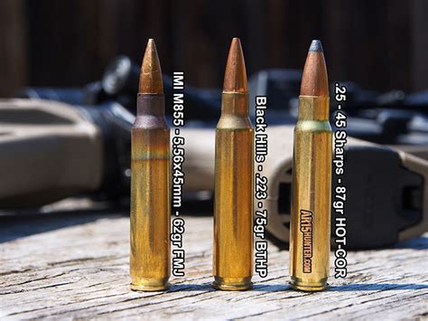 25 45 Sharps Cartridge Review With Range And Hunt Report