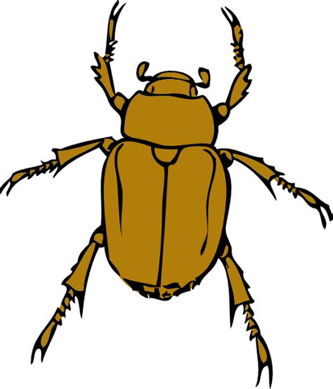 Download Beetle Bug Clip Art Hq Png Image Freepngimg