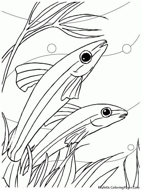 Their passionate kiss is spreading love everywhere around them in the form of hearts coming out of their adorable kissing. Jumping Fish Coloring Pages - Coloring Home