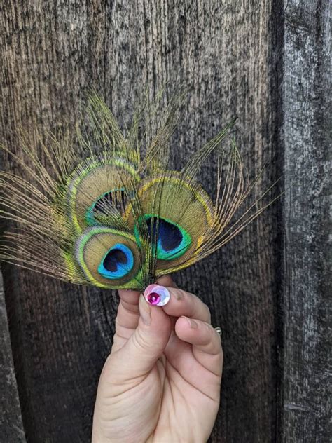 cruelty free peacock feather hair clip etsy