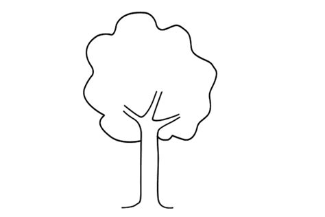 Tree Drawing For Kids With Branches They Provide Habitats Homes For
