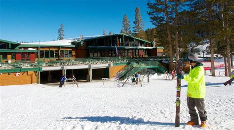 Alpine Meadows Ski Resort Tours Book Now Expedia