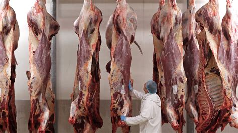 This is how many animals we eat each year. Belgium Bans Ritual Animal Slaughter. Some See a Humane ...