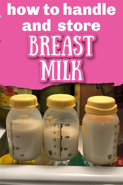 Storing Breast Milk In Fridge Factory Sale Save Jlcatj Gob Mx