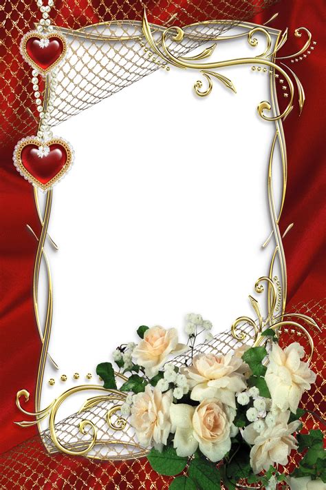 Beautiful Red Transparent Frame With White Roses Rose Frame White