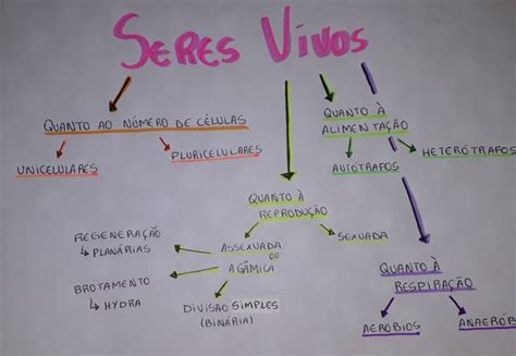 Classificação de características dos seres vivos Classificacao dos