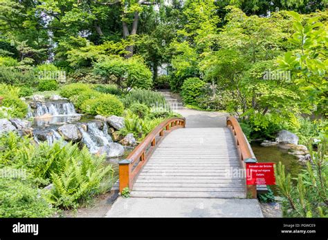 Beautiful Japanese Garden And Wooden Bridge Stock Photo Alamy