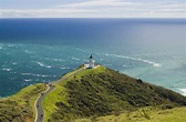 Top 15 Things to Do in New Zealand's North Island