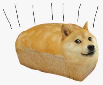 In late december 2019, edits of the image in which various logos and images were put onto the beanie gained significant popularity on twitter as profile pictures, primarily among esports organizations and personalities. 23+ Shiba Inu Dog With Hat Meme - l2sanpiero