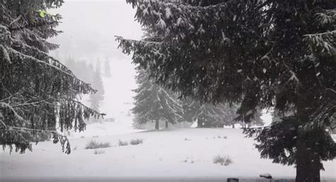 Video Imagini Superbe Cu Iarna Care Pune Stăpânire Pe Munții Apuseni
