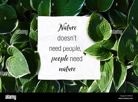 84 Nature Is Nature Quotes For Free Myweb