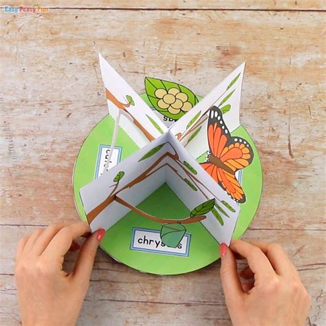 D Butterfly Life Cycle Craft Butterfly Life Cycle Craft Frog Life