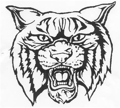 Wildcat clipart 20 free Cliparts | Download images on Clipground 2022