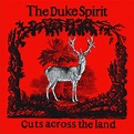 The Duke Spirit: Bruiser Review by Terry Majamaki