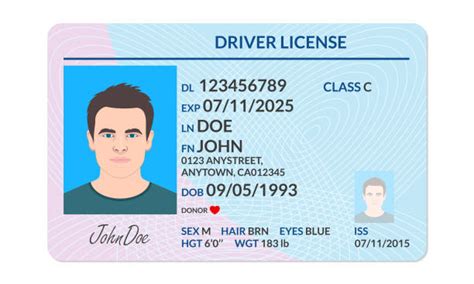 Cartoon Of A Id Card Template Illustrations Royalty Free Vector