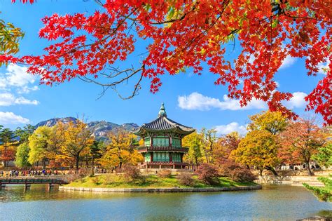 Seoul (seoul, south korea) forecast issued: South Korea travel | Asia - Lonely Planet