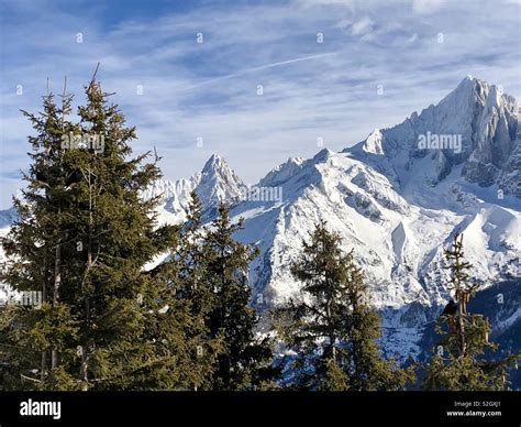 Trees Mountain In French Alps Hi Res Stock Photography And Images Alamy