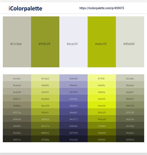 390 Latest Color Schemes With Ash Color Tone Combinations 2021