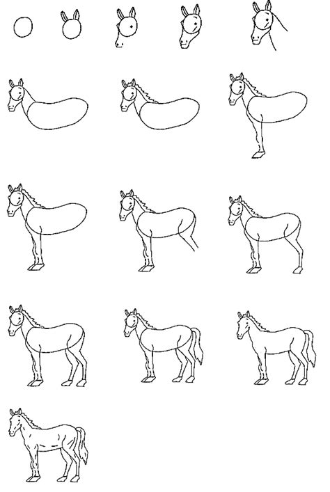 How To Draw A Horse Step By Step Instructions