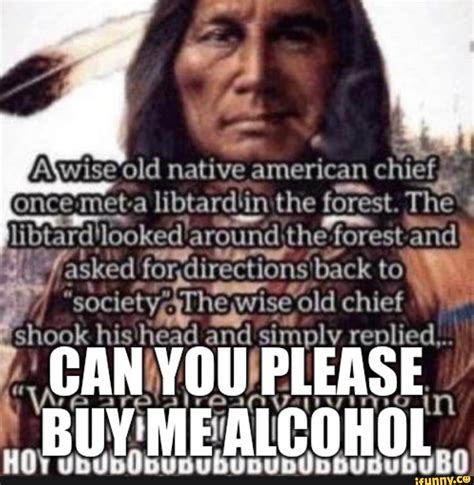 Wise Old Native American Chief Once Meta T A Libt Ardin The Forest
