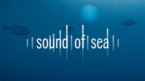Sound Of Sea Youtube