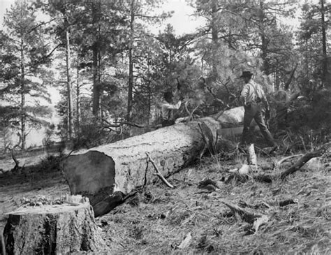 Oregon Logging History Flickr