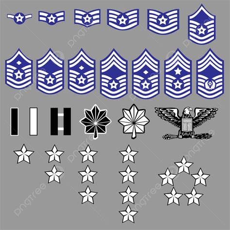 Us Air Force Rank Insignia For Officers And Enlisted In Vector Stock