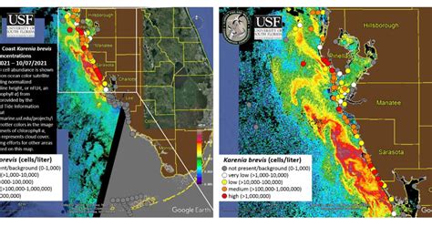 Red Tide Outbreaks Spreading Along Gulf Beaches Wusf