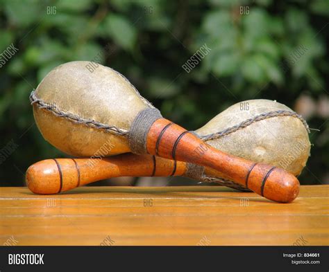 Latin Instrument Image And Photo Free Trial Bigstock