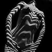 Zebra Woman Stripe Series Photograph By Chris Maher Pixels