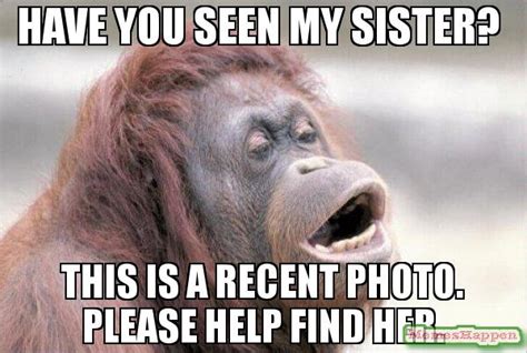 30 Totally Funny Sister Memes We Can All Relate To