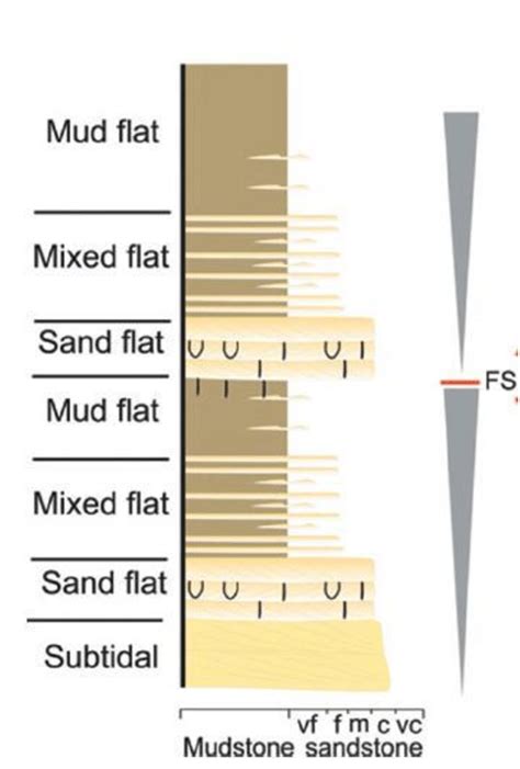 Figur B Vertical Succession Of Tidal Flat Which The Shown A Change