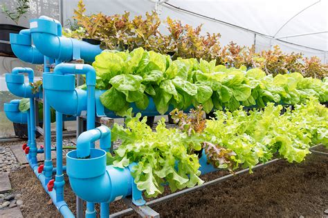 Urban Farming Smart City Sweden