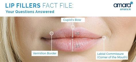 Lip Fillers Fact File Your Questions Answered
