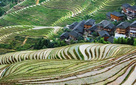 Wallpaper China Guangxi Longsheng Terrace Beautiful Countryside