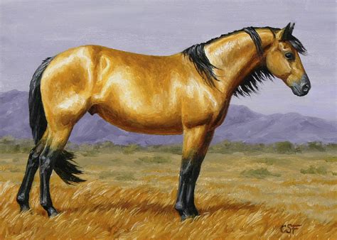 buckskin mustang stallion painting  crista forest