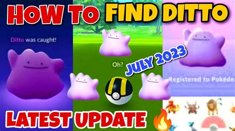 guide to catch ditto in pokemon go 2023 gameinstants hot sex picture