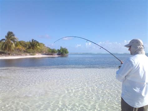 Cayman Islands Fishing The Complete Guide