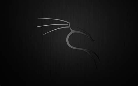 The os comes with some beautiful wallpapers . Kali Linux Desktop Wallpaper - WallpaperSafari