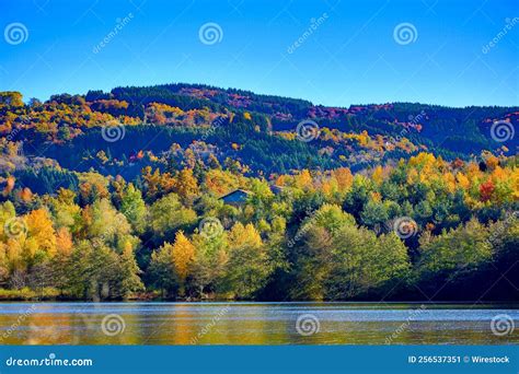 Beautiful Fall Scenery At Aubusson Lake Auvergne France Stock Image
