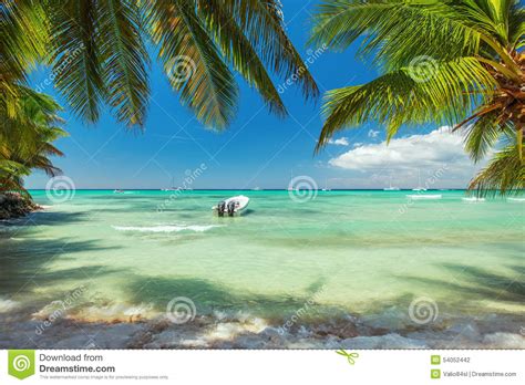 Palm Trees And A Boat On Luxury Exotic Carribean Beach Stock Photo