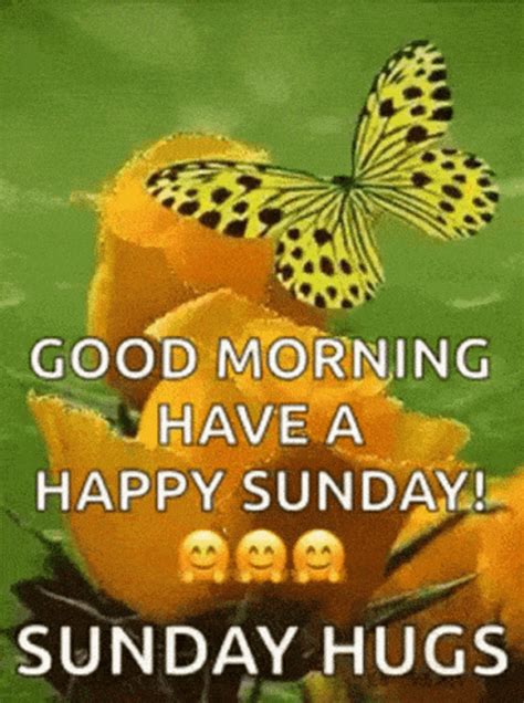 Animated Butterfly Happy Morning Sunday Hugs 