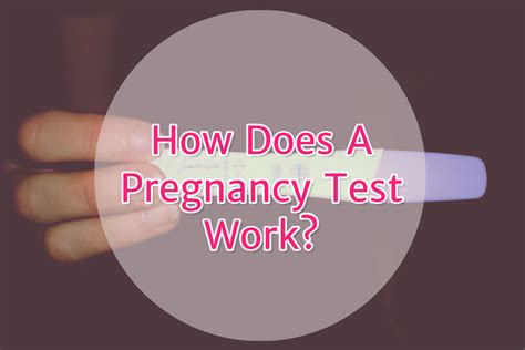 All the fastest molecules have already left the heated liquid, and the. How Does A Pregnancy Test Work? Evaporation Line, hCG Test