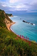 Durdle Door, Dorset, England | Cool places to visit, Holiday places ...