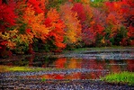 It's a GORGEOUS day! GFT's Top 10 Spots To View Fall Foliage In NJ ...