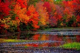Fall foliage planning guide - Road Trips with Tom