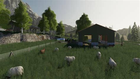 Sheep Pasture V10 Fs19 Mod