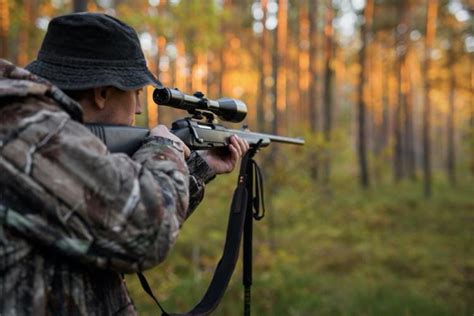 How To Hunt A Beginners Guide To Hunting